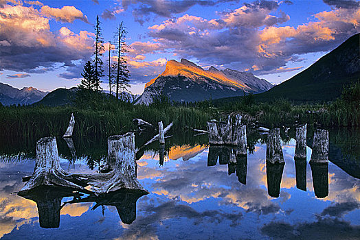 树桩,湖,伦多山,维米里翁湖,班芙国家公园,艾伯塔省,加拿大