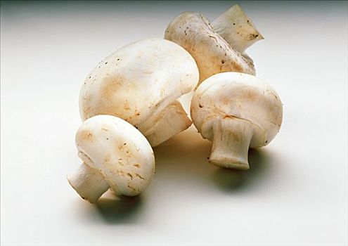 四个,白色,蘑菇