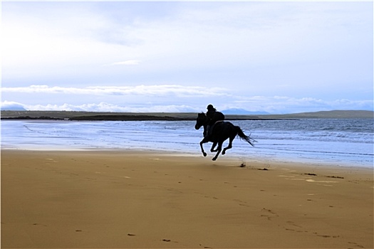 马,骑乘,驰骋,海岸