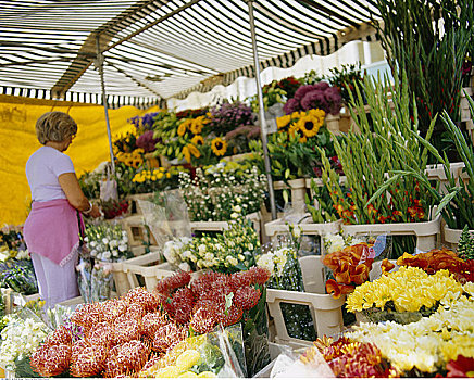 女人,花,帐蓬,波多贝露市场,伦敦,英格兰