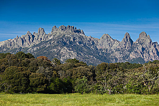 法国,科西嘉岛,阿尔泰,顶峰