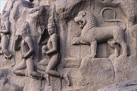 雕塑,雕刻,岩石上,忏悔,马哈巴利普兰,泰米尔纳德邦,印度