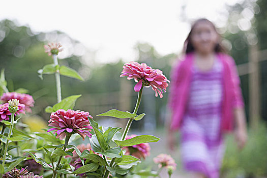 女孩,粉红裙,走,过去,床,花,有机,花园