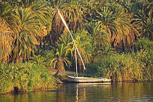 老,帆船,尼罗河,河,海岸线,埃及