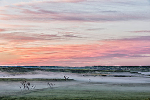 日出,雾,草原国家公园,萨斯喀彻温,加拿大
