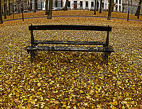 公园长椅,荷兰
