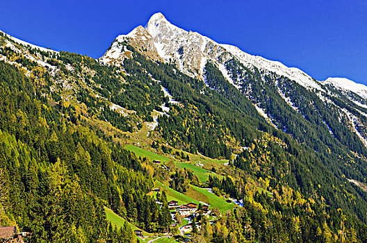 雪冠,顶峰,阿尔卑斯山,山脊,提洛尔,奥地利,欧洲