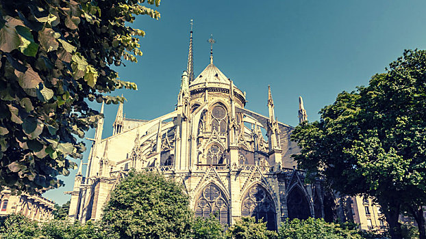 圣母大教堂,巴黎,法国,旧式