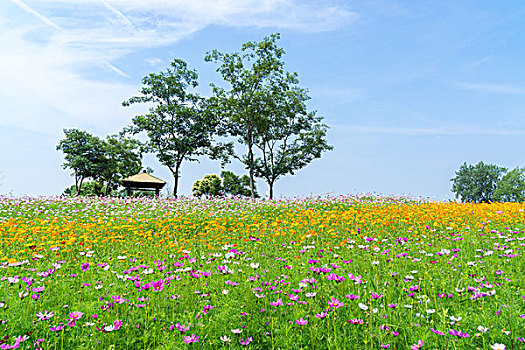 南京中医药大学