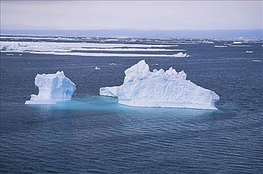 罗斯海,南极