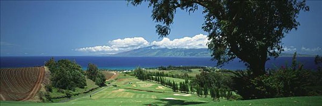 夏威夷,毛伊岛,卡帕鲁亚湾,胜地,高尔夫球杆,乡村,场地,全景