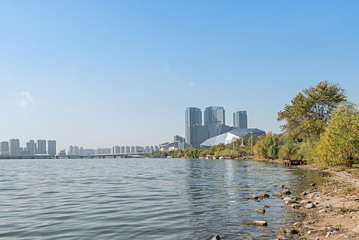 秋季沈阳公园河岸树林建筑