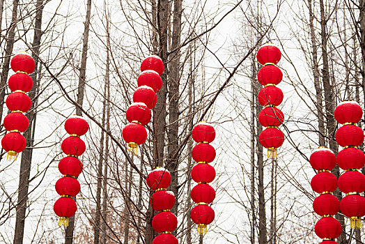 灯笼,雪,节日,年味,传统