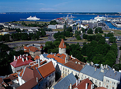 老城,港口,塔林,爱沙尼亚