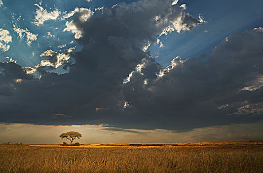 乌云,上方,埃托沙国家公园,纳米比亚