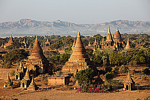 缅甸,蒲甘,庙宇,航拍