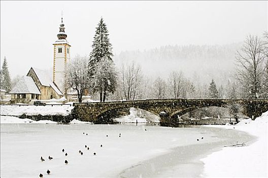 冬景,乡村,斯洛文尼亚