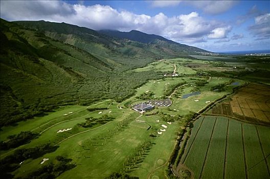 高尔夫球场,乡村俱乐部,美国,夏威夷,毛伊岛