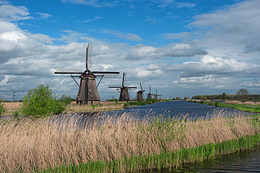 历史,荷兰人,风车,小孩堤防风车村,荷兰