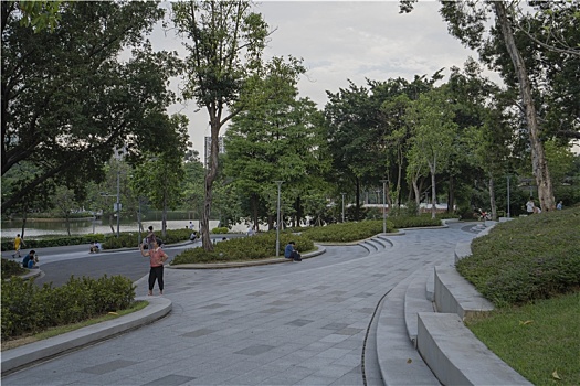 夏天羊城广州天河公园古树与广场