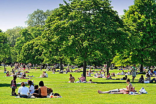 人群,享受,海德公园,晴朗,夏天,白天