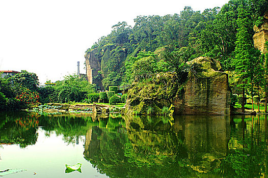 莲花山