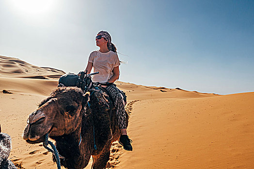 女人,骑,骆驼,晴朗,沙,沙漠,撒哈拉沙漠,摩洛哥