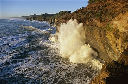 满潮,碰撞,砂岩,悬崖,北方,塔拉纳基,新西兰