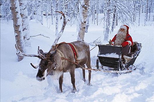 冬天,圣诞老人,雪橇,圣诞节,拉普兰,芬兰,斯堪的纳维亚,欧洲