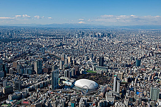 山,富士山,东京,圆顶,区域