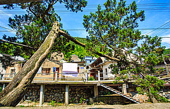 鄞州,塘溪镇,上周村,山村,老房子