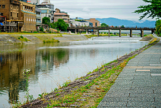 日本京都鸭川河畔