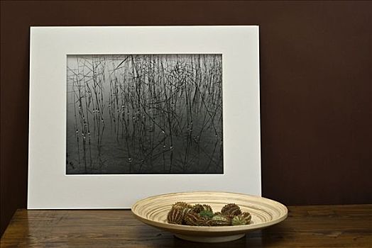 仙人掌,水果,竹子,碗,正面,黑白照片