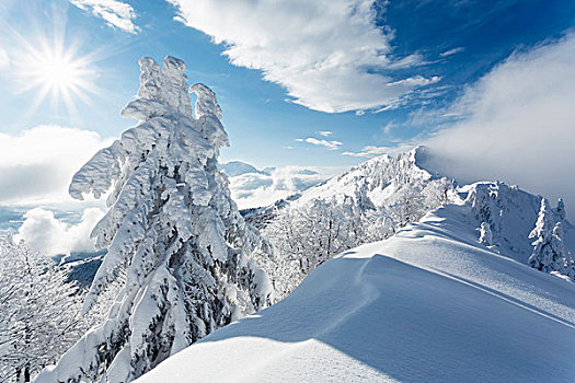 山色,冬天,高处,萨尔察赫河,山谷,萨尔茨堡州,奥地利