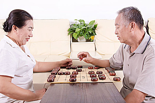 两位老年人下象棋