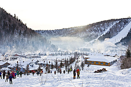 雪乡,双峰林场,村庄,风景,白天,黑龙江,牡丹江