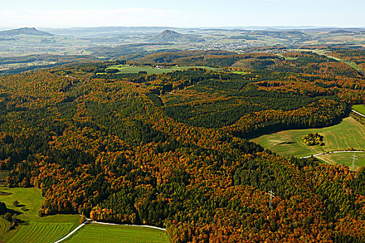 树林,地点,巴登符腾堡,德国,欧洲