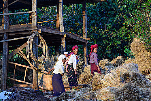 卡劳,女人,孩子,谷仓,干草包,乡村,掸邦,缅甸