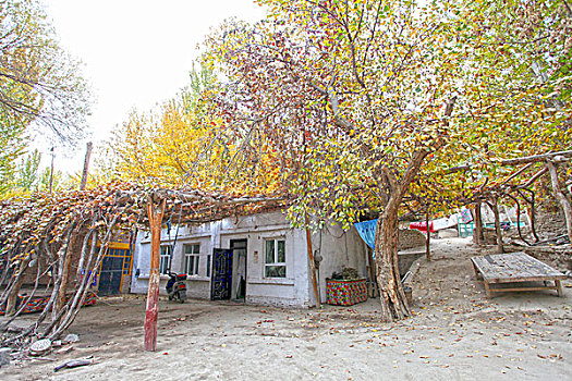 维吾尔族,村庄,住宅,标本,建筑,风格