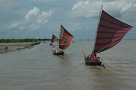 捕鱼,河,孟加拉,九月,2007年