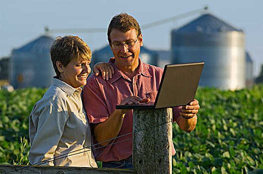 农业,夫妻,农民,生长,毛豆,地点,输入,作物,数据,笔记本电脑,谷物,背景,明尼苏达,美国