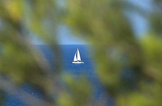 帆船,伊比沙岛,西班牙
