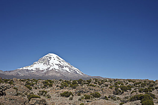 玻利维亚,国家公园,火山,内华达