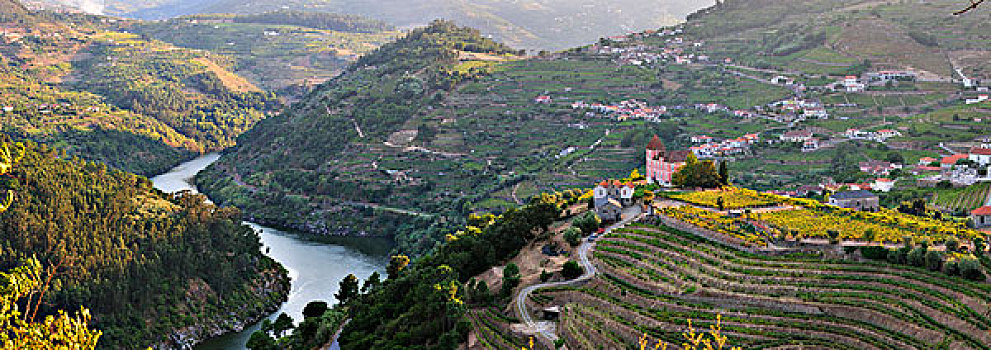 上方,杜罗河,欧洲,河,区域,农产品,葡萄酒,葡萄牙
