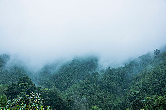 雨雾山景