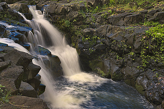 瀑布,树林,考艾岛,夏威夷,美国
