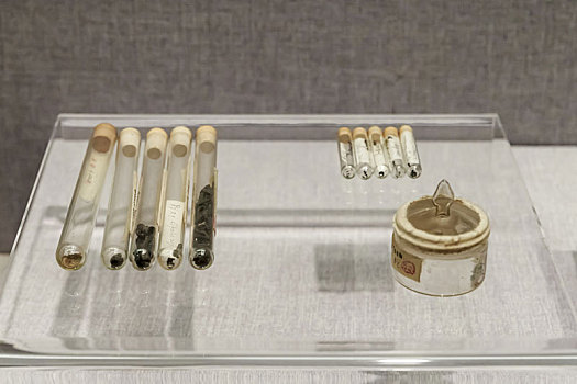 唐代含嘉倉糧食標(biāo)本，河南省洛陽博物館館藏文物
