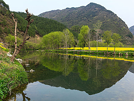 陕西汉中油菜花等