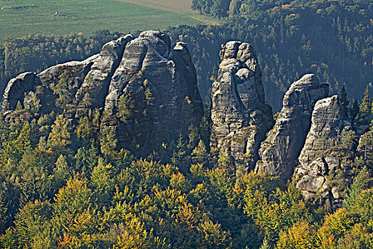 砂岩,石头,撒克逊瑞士,山毛榉,树林,秋天