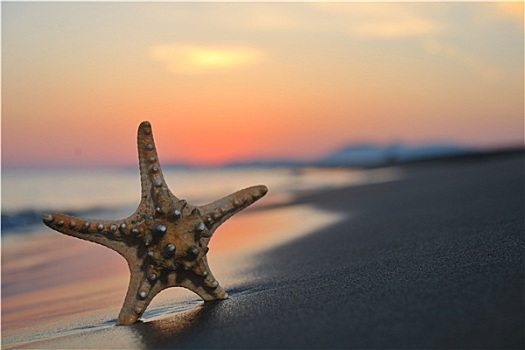夏天,海滩,日落,星